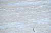 d120825k_0624_small.jpg