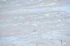 d120825k_0625_small.jpg