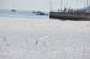 d120825k_0648_small.jpg