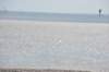 d120825k_0652_small.jpg