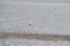 d120825k_0653_small.jpg