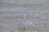 d120825k_0655_small.jpg