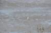d120825k_0656_small.jpg