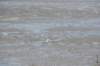 d120825k_0657_small.jpg