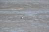 d120825k_0658_small.jpg
