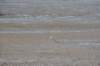 d120825k_0659_small.jpg