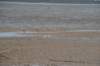 d120825k_0661_small.jpg