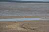 d120825k_0667_small.jpg