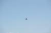 d120825k_0679_small.jpg