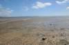 d120825k_0684_small.jpg