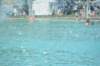 d120825k_0697_small.jpg