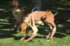 d120825k_0708_small.jpg
