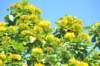 d120825k_0723_small.jpg