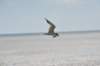 d120825k_0726_small.jpg