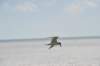 d120825k_0727_small.jpg