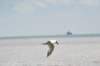 d120825k_0728_small.jpg