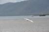 d120825k_0741_small.jpg