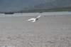 d120825k_0743_small.jpg