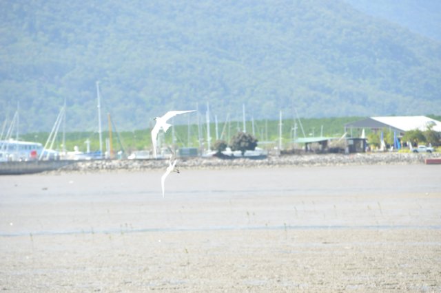 d120825k_0765.jpg
