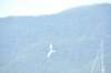 d120825k_0766_small.jpg