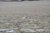 d120825k_0803_small.jpg