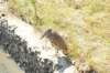 d120825k_0806_small.jpg