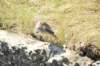 d120825k_0847_small.jpg
