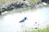 d120825k_0926_small.jpg