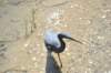 d120825k_0965_small.jpg