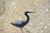 d120825k_0967_small.jpg