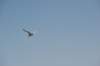 d120825k_0993_small.jpg