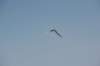 d120825k_0994_small.jpg