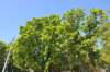 d120825k_1000_small.jpg