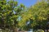 d120825k_1001_small.jpg
