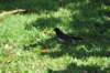 d120825k_1073_small.jpg