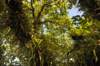 d120825k_1106_small.jpg