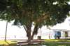 d120825k_1107_small.jpg