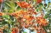 d120825k_1115_small.jpg