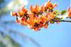 d120825k_1116_small.jpg