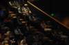 d120827k_0117_small.jpg