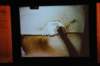 d120827k_0134_small.jpg
