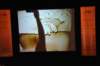 d120827k_0136_small.jpg