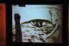 d120827k_0162_small.jpg