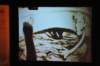 d120827k_0163_small.jpg
