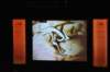 d120827k_0164_small.jpg