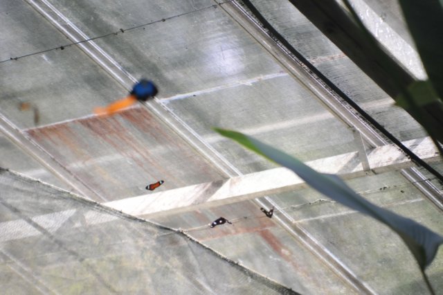 d120829k_0209.jpg
