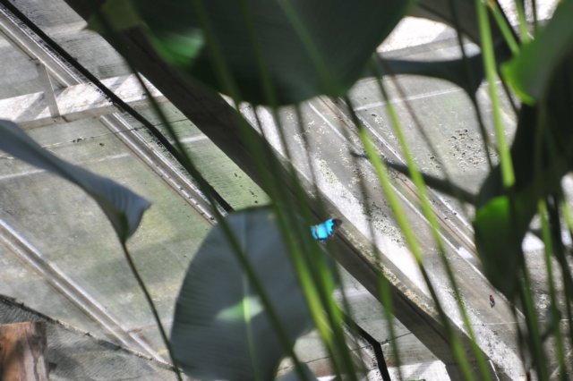d120829k_0211.jpg