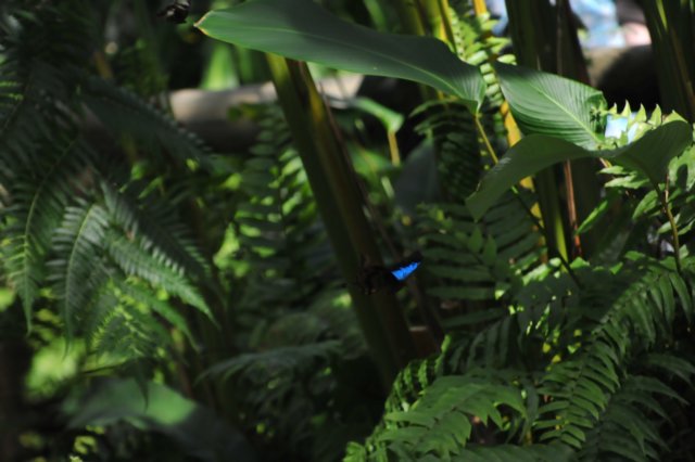d120829k_0241.jpg