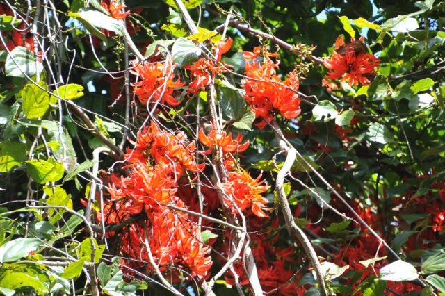 d120829k_0269.jpg
