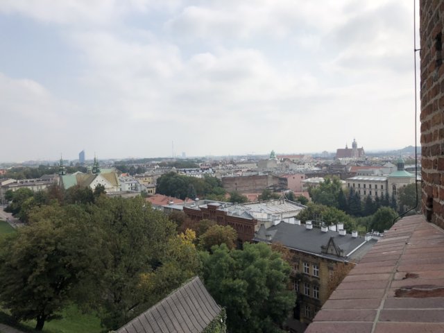 img_6445.jpg
